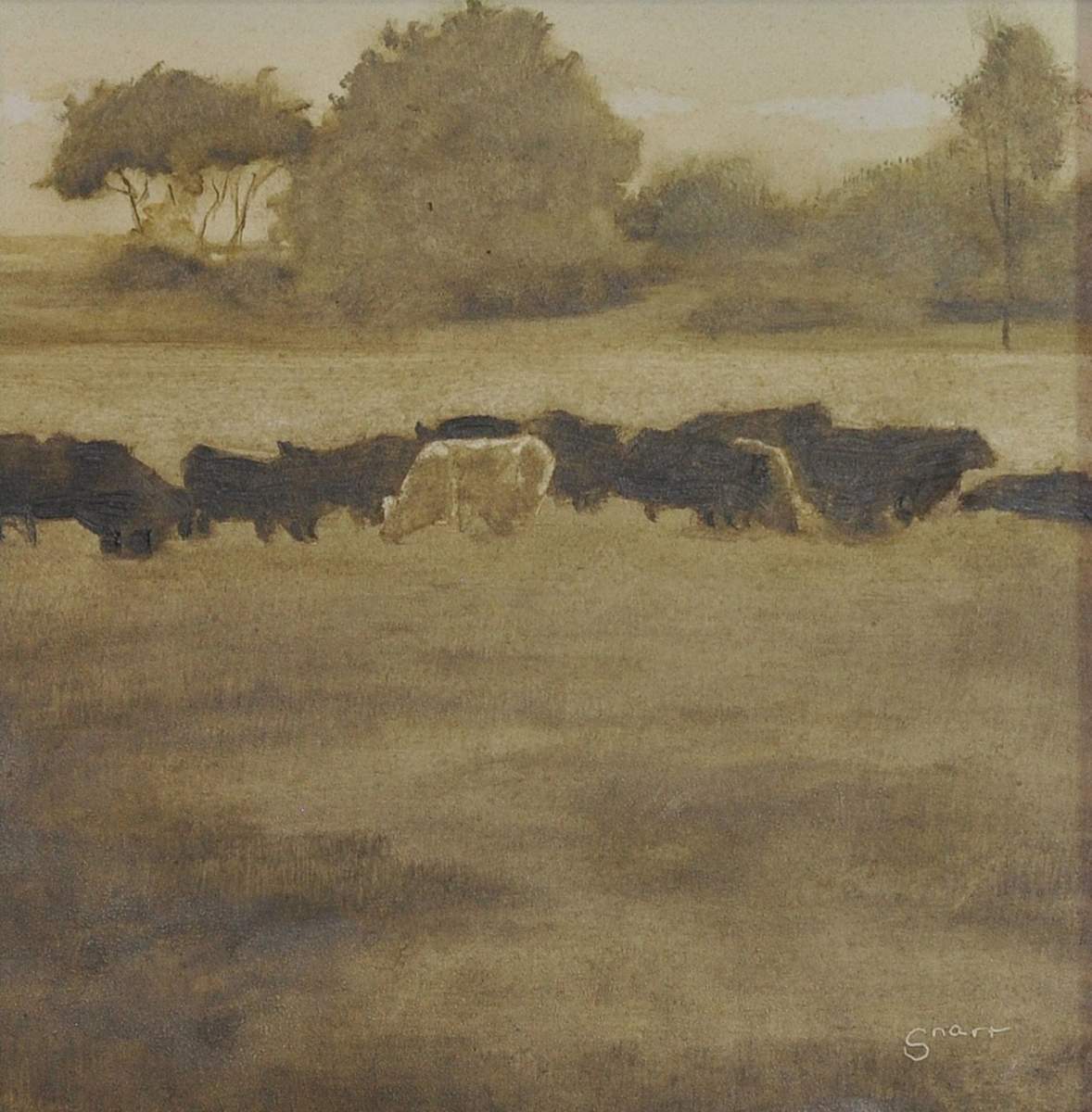 Misty Cows by Scott Snarr 