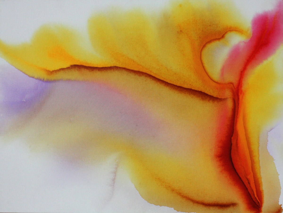 37 by Gerrit Greve, Image 1.