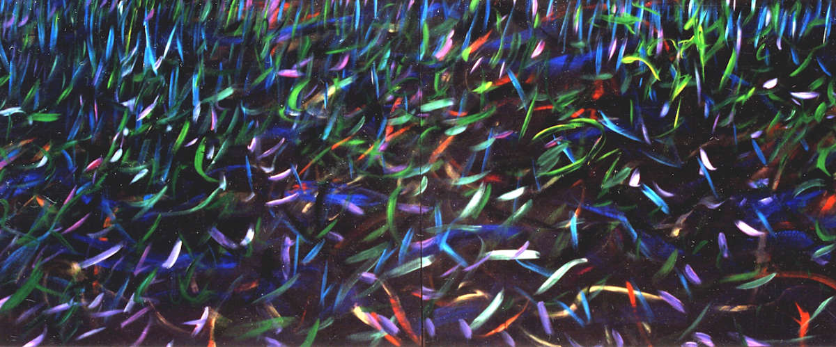 Dancing Fish by Gerrit Greve 