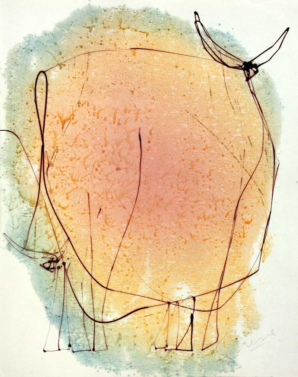 Horned Dream (Bulls 15011)* by Gerrit Greve 