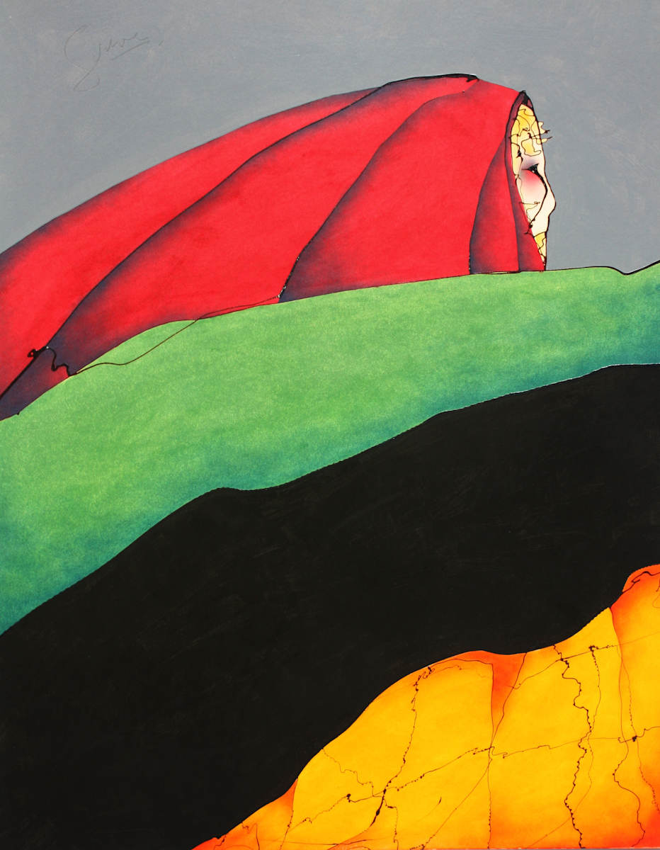 Robed Gaze by Gerrit Greve 