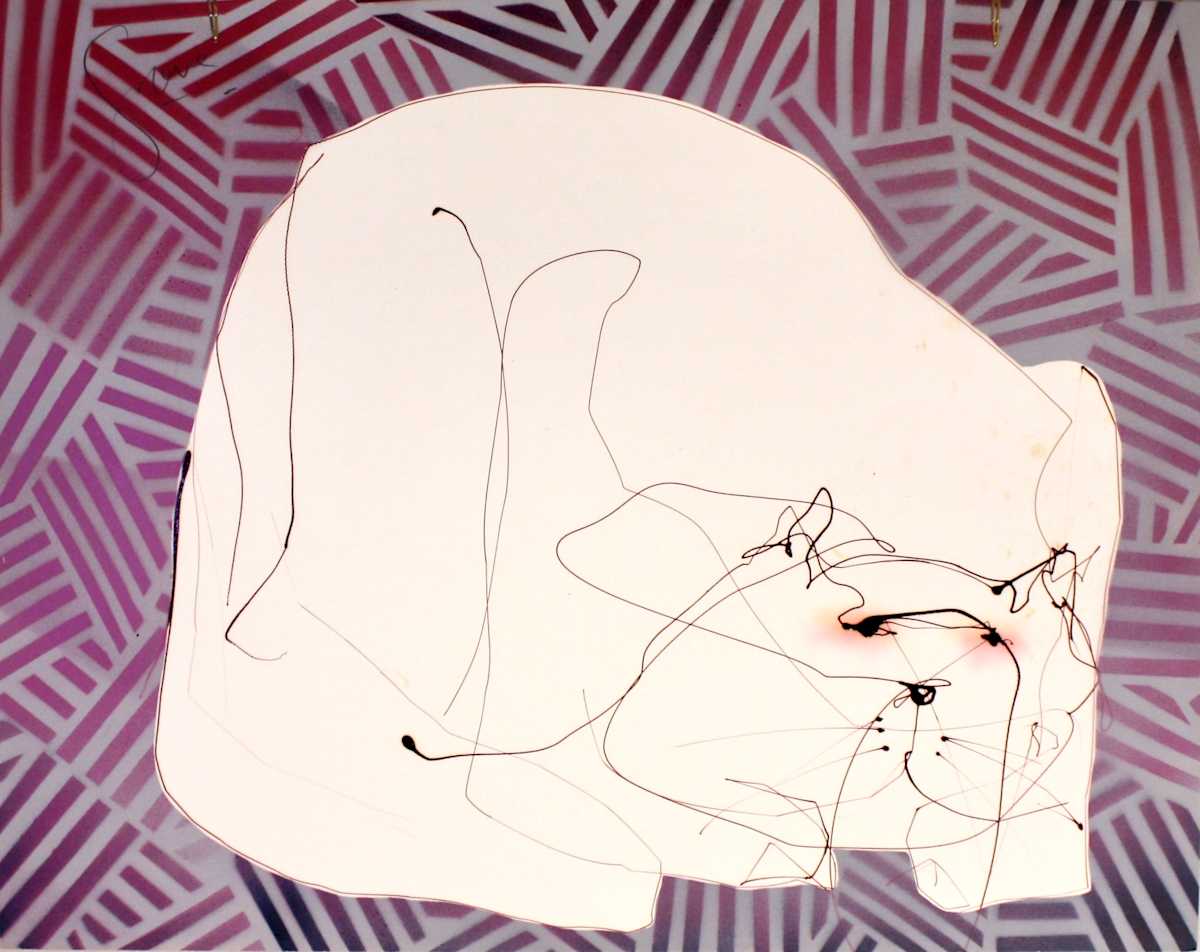 White Cat by Gerrit Greve 