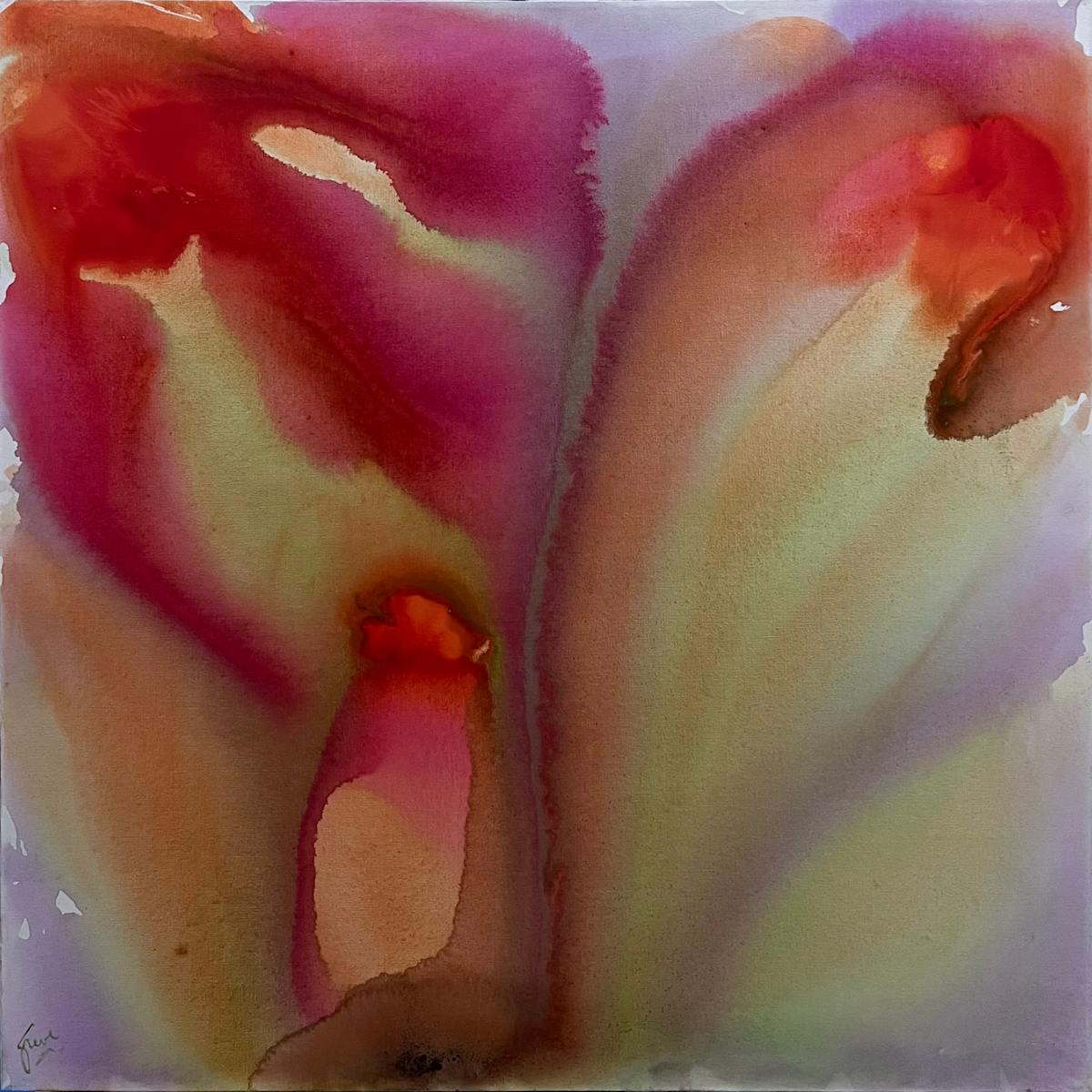 40 by Gerrit Greve 