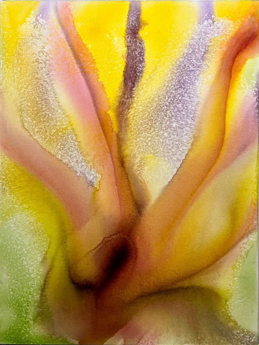 58 by Gerrit Greve 