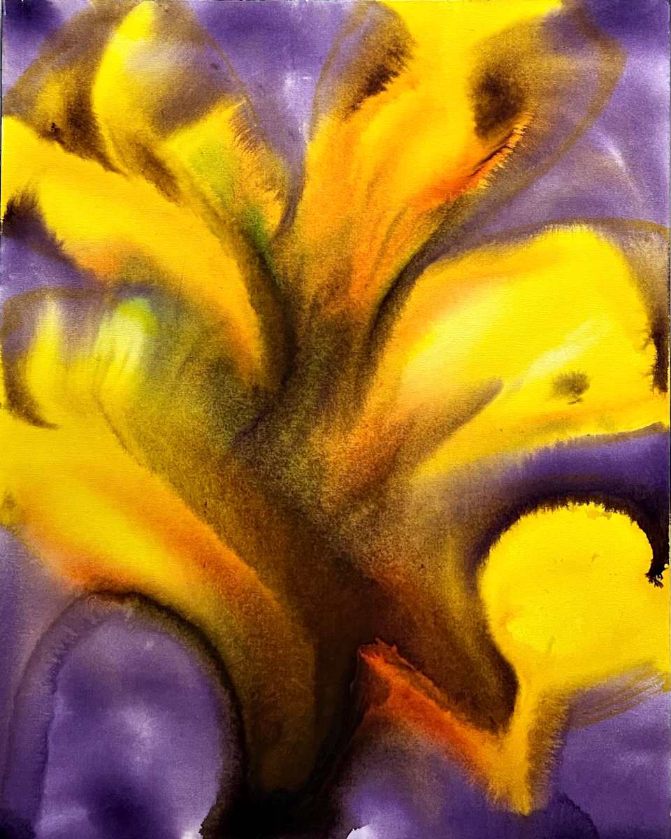 70 by Gerrit Greve 