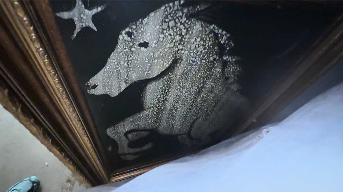 North Star Horse by Gerrit Greve, Image 1.