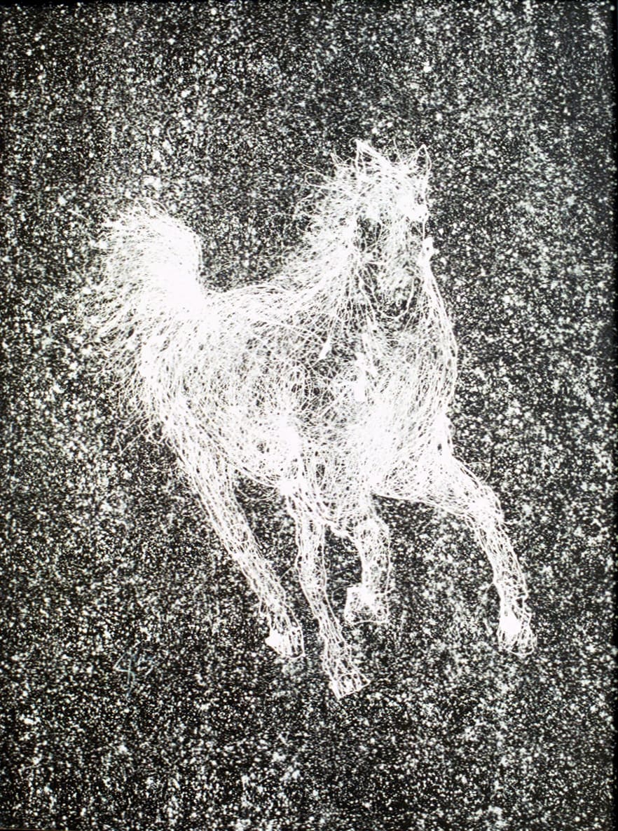 White Horse 02 by Gerrit Greve 