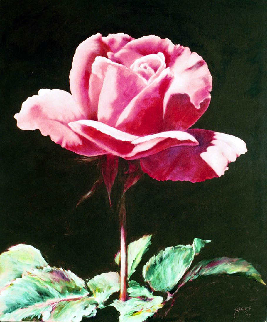 Valentine Rose 2 by Gerrit Greve Art Collection, Image 1.