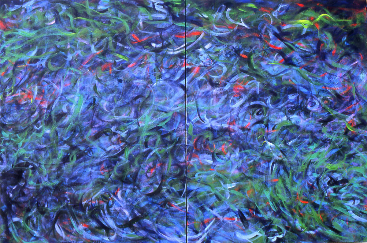 Underwater Confusion by Gerrit Greve 