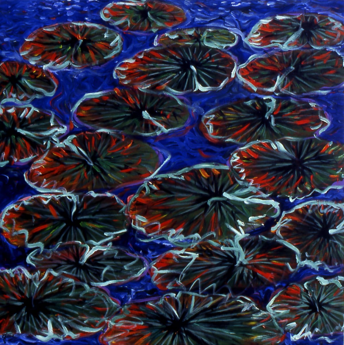 Water Lillies 02 by Gerrit Greve 