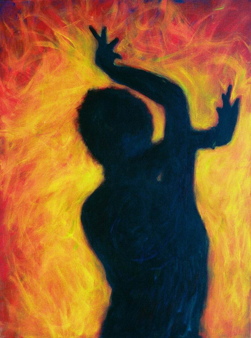 Flamenco Shadow by Gerrit Greve 