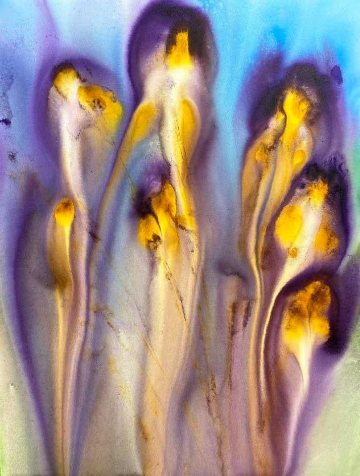 58 Memories of Viruses…Irises by Gerrit Greve 