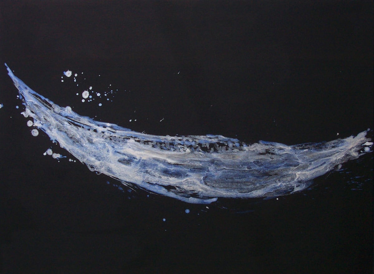 Spirit Boat 45 by Gerrit Greve 