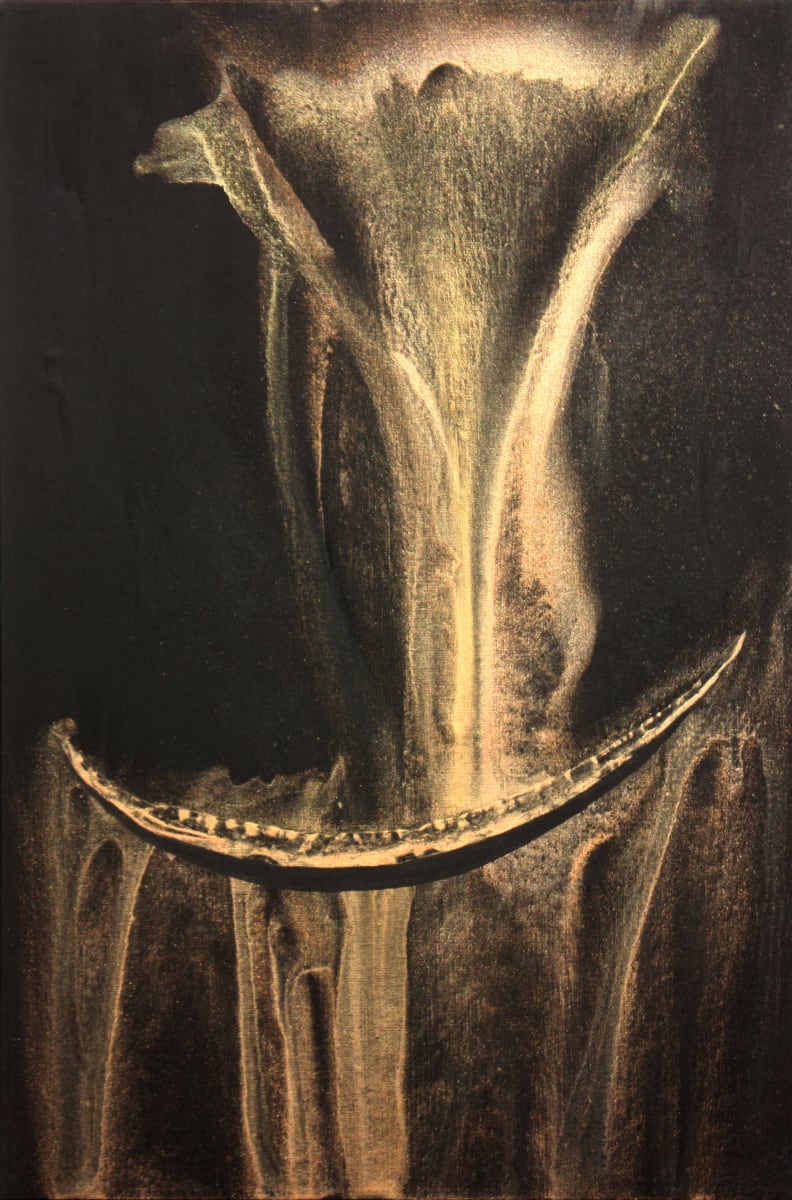 Voyage 153 by Gerrit Greve 