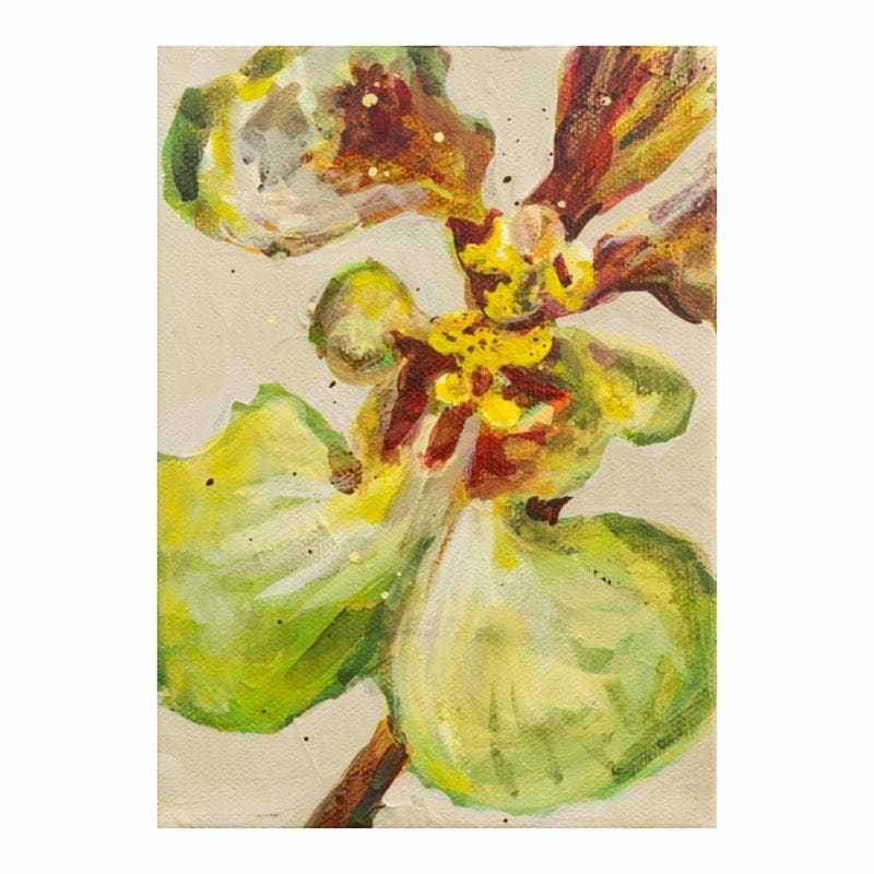 Green Orchid by Nara Montuy 