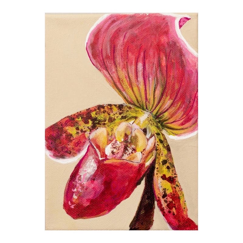 Cypripedium Festivities by Nara Montuy 