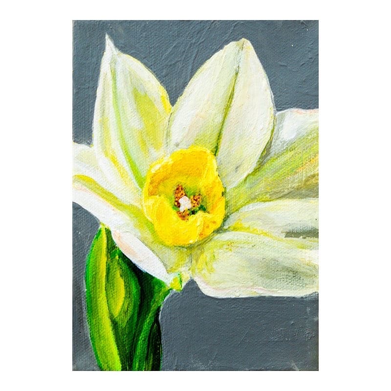 Paperwhite Blooming by Nara Montuy 