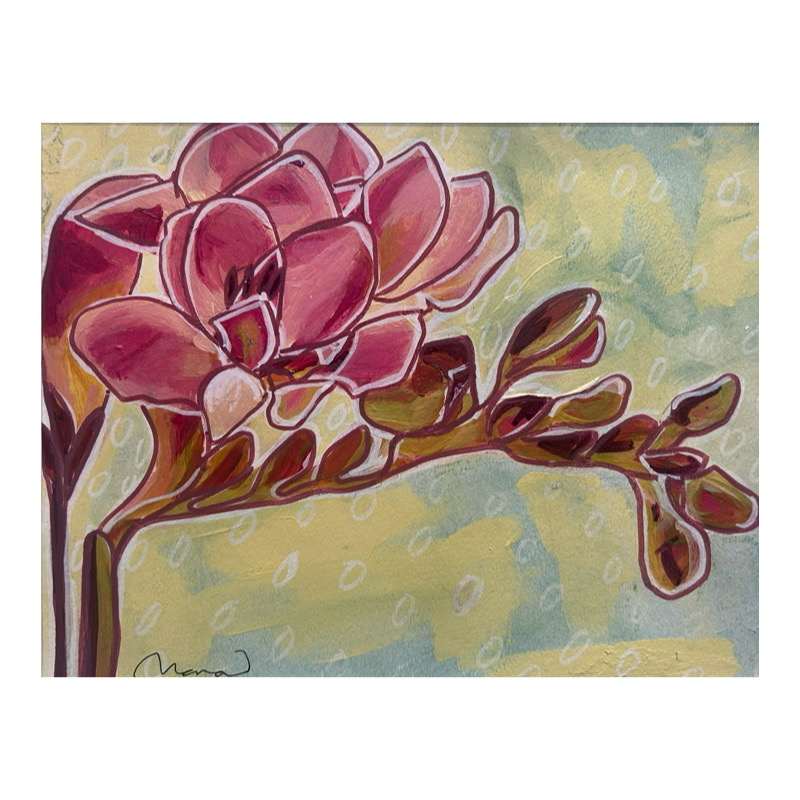 Pink Two Toned by Nara Montuy  Image: Soft yet striking, capturing the quiet elegance of nature.