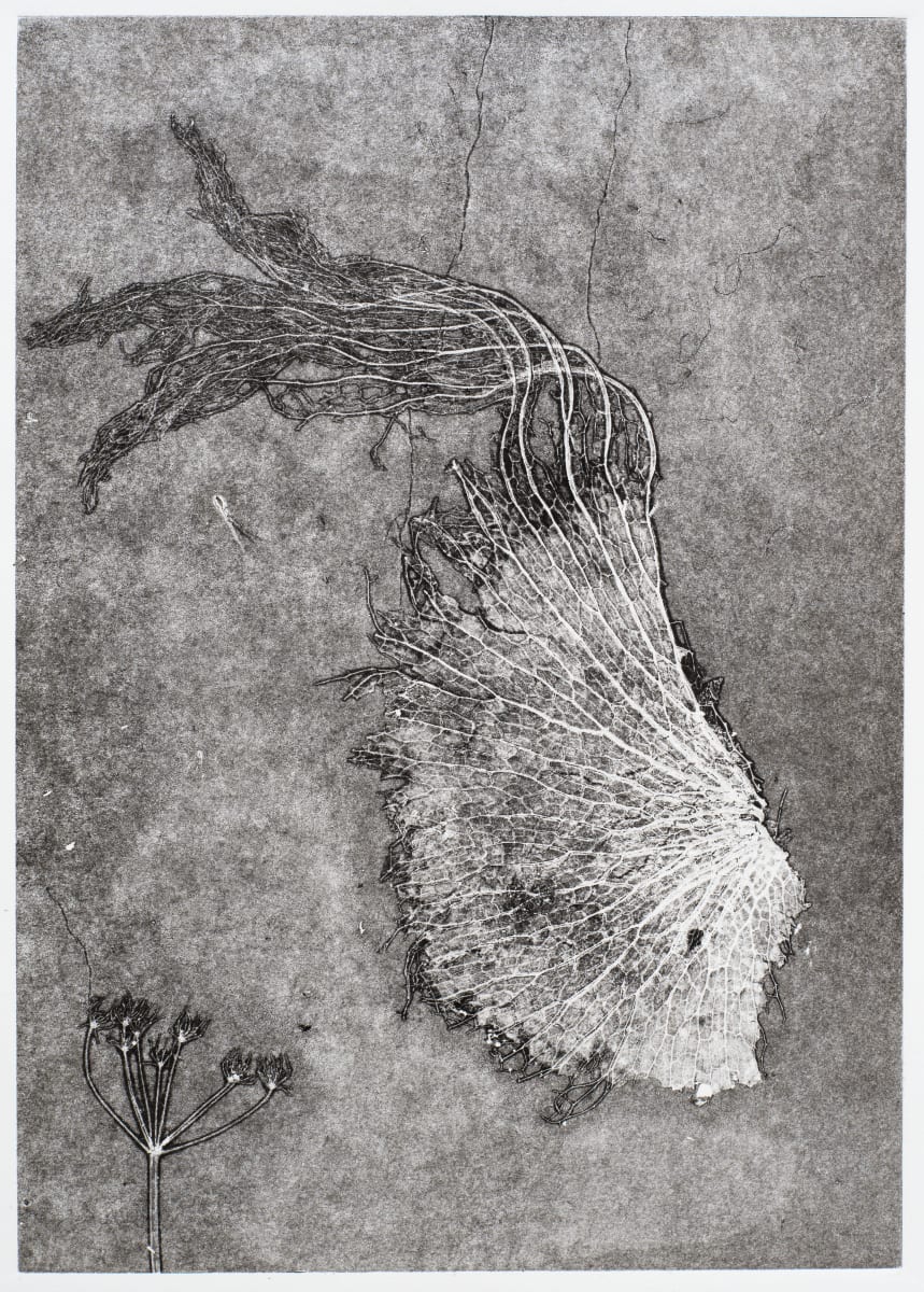 Untitled (Ghost Koi) by Kendal D Simich 