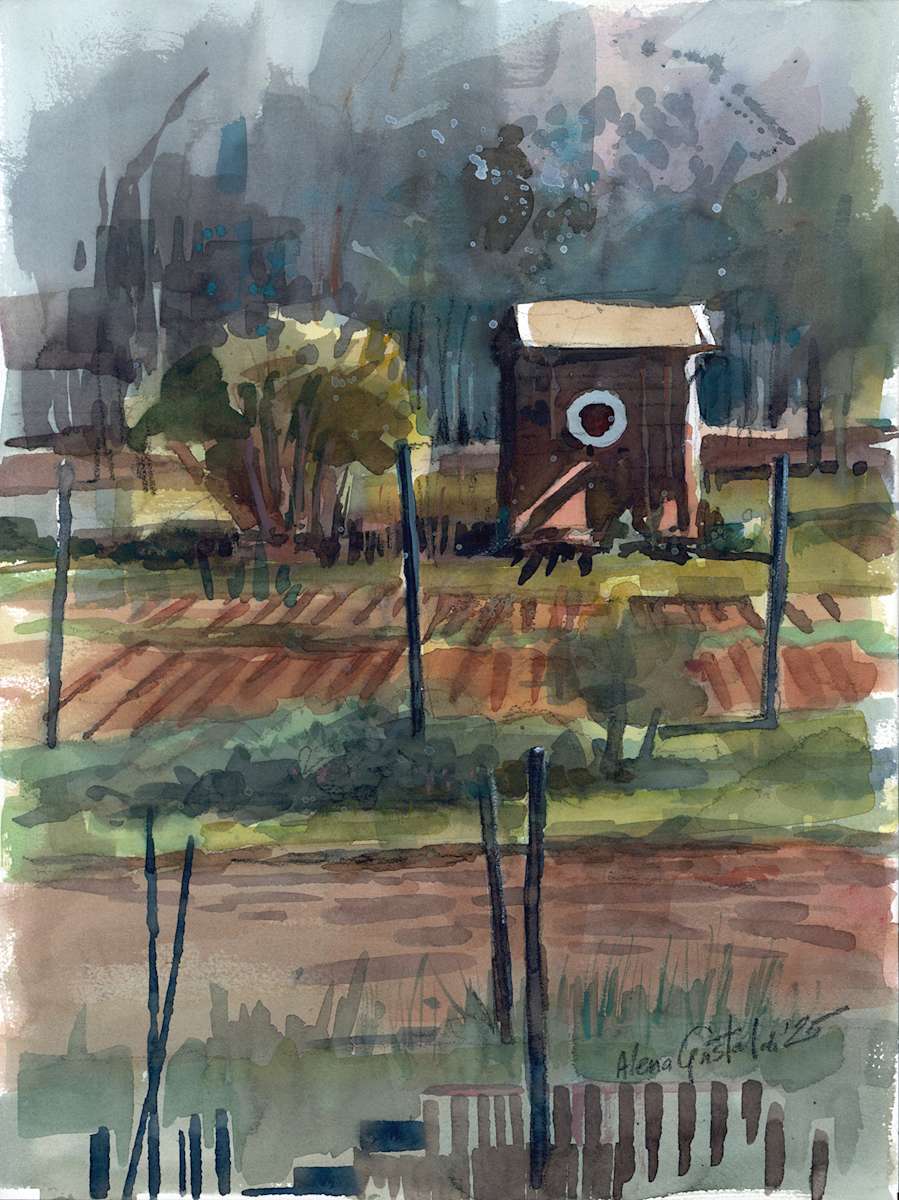 Luxembourg: allotment gardens by Alena Gastaldi, Image 5.