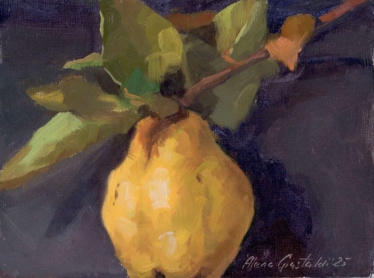 Quince by Alena Gastaldi 