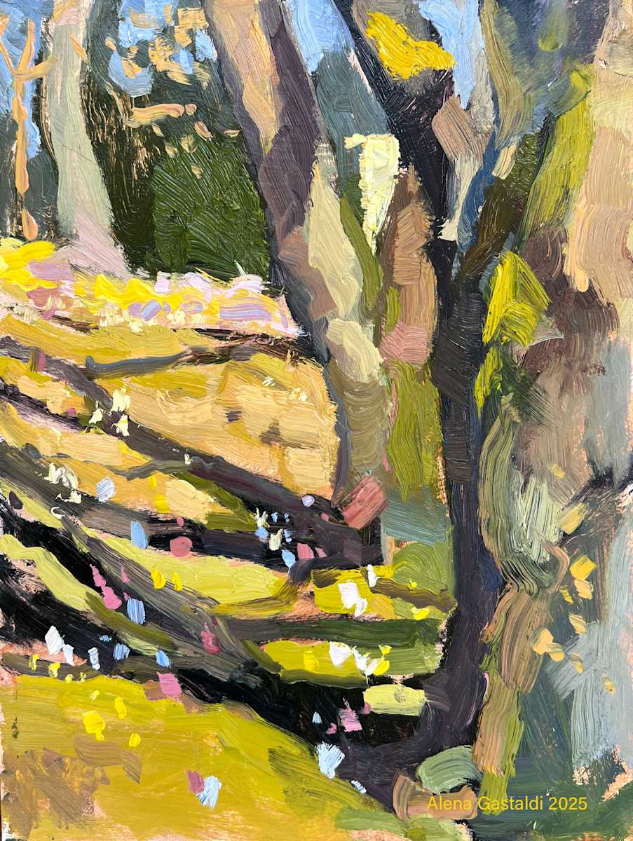 Luxembourg: First flowers by Alena Gastaldi 