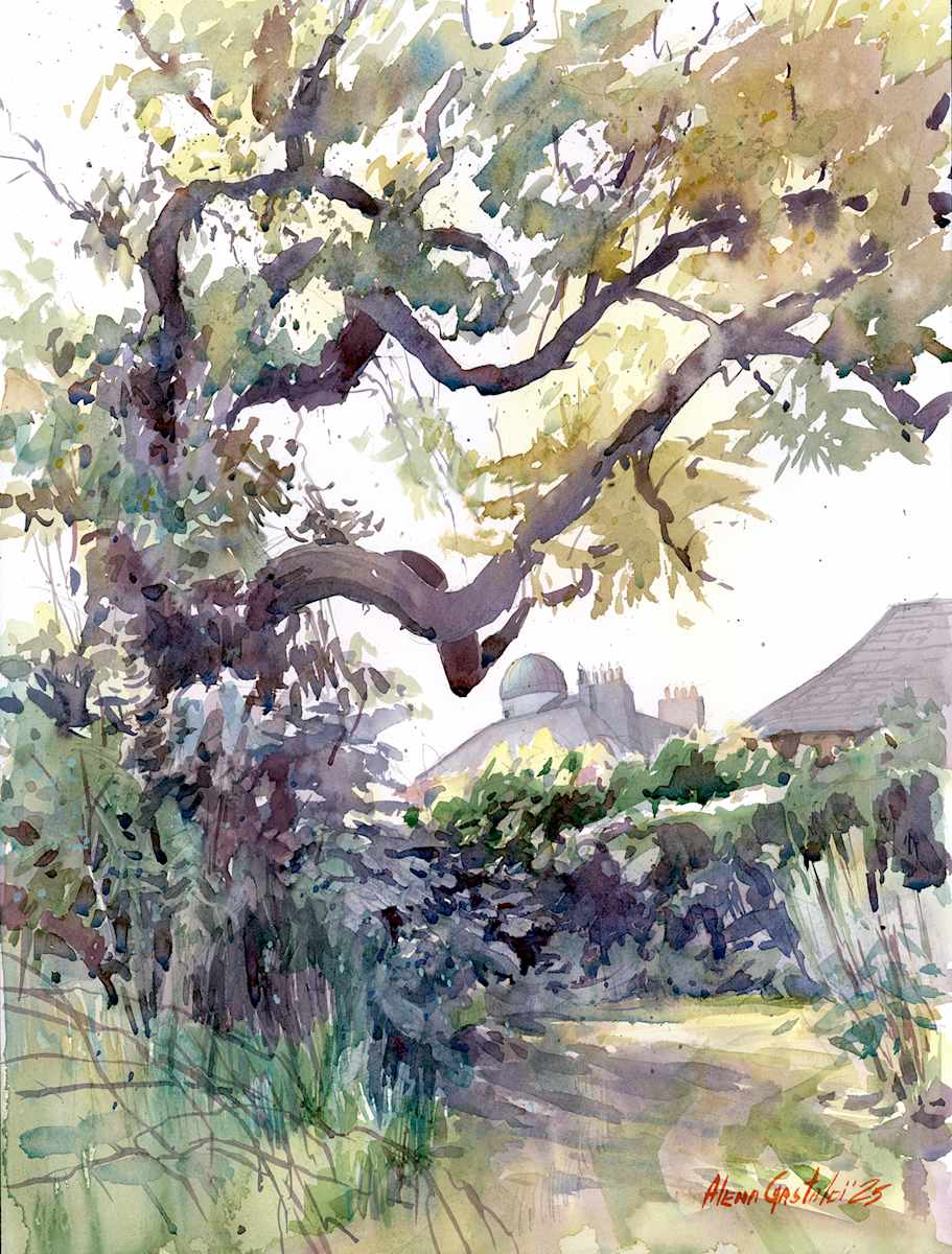 Old tree (Dunsink observatory) by Alena Gastaldi, Image 3.