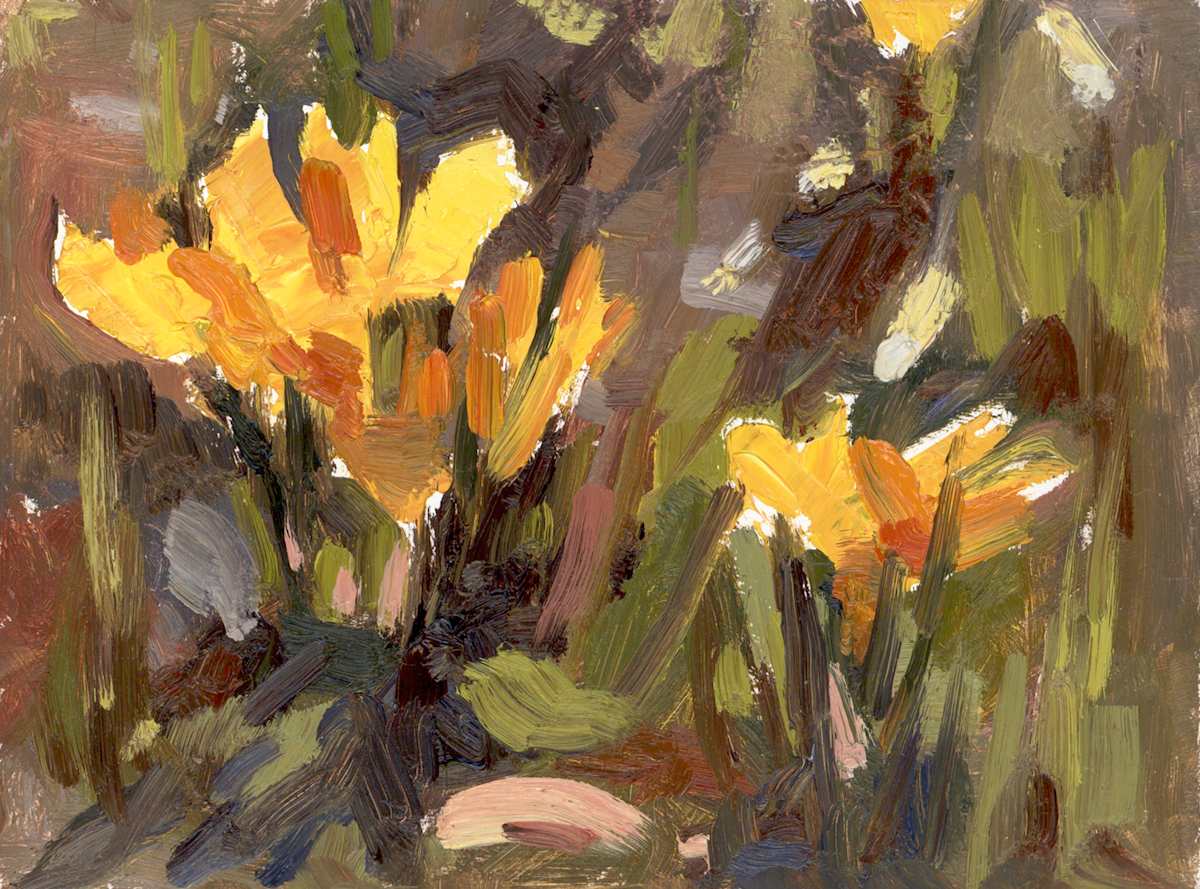 Yellow crocuses by Alena Gastaldi, Image 1.