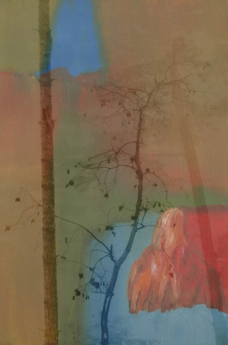 13.0 RED ROCK IN/Forest by Keith Wilson, Image 2.