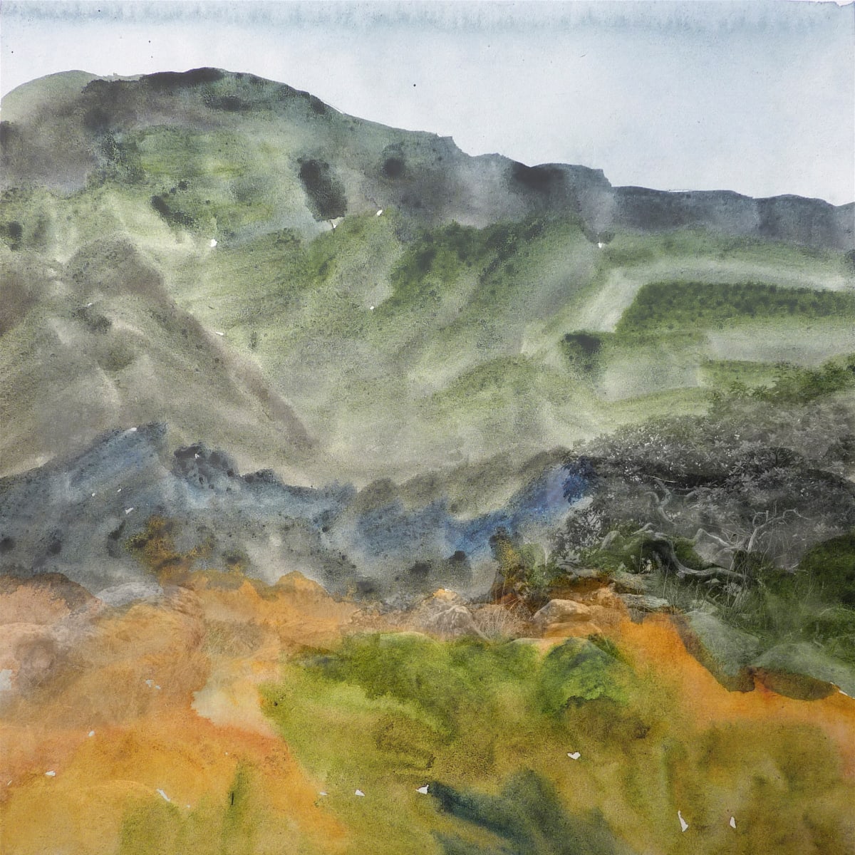 19.03 ORANGE SWATH/Madrone by Keith Wilson 