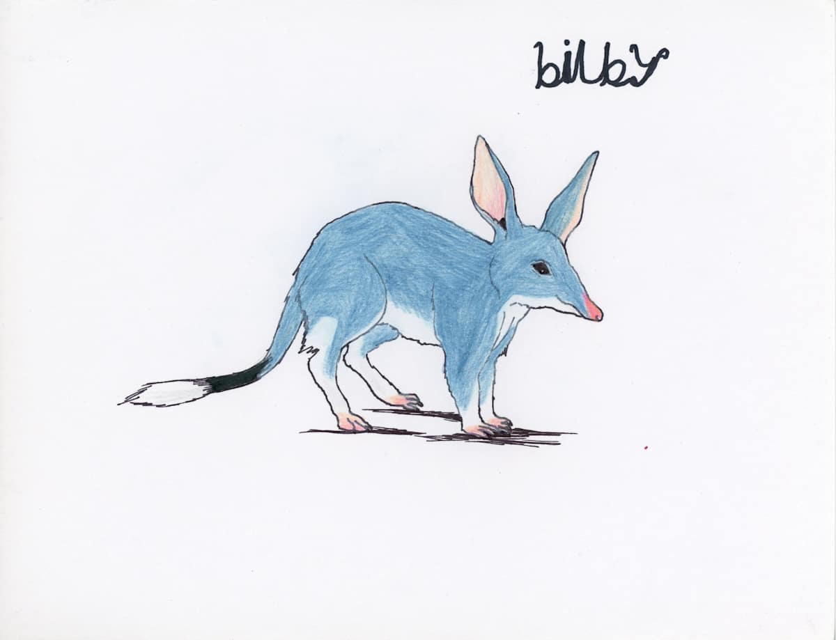 Bilby by Nikolas Heitz-Arruda, Image 6.