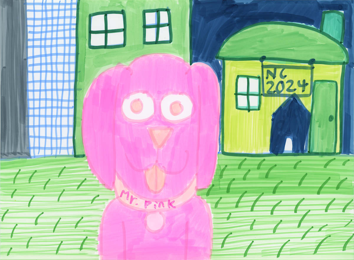 Mr. Pink by Nathan Chuey, Image 1.