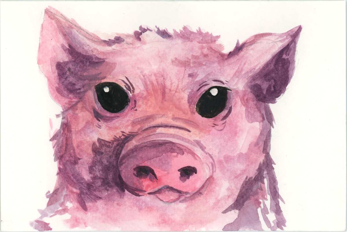 PIG by Avalon Traser, Image 1.