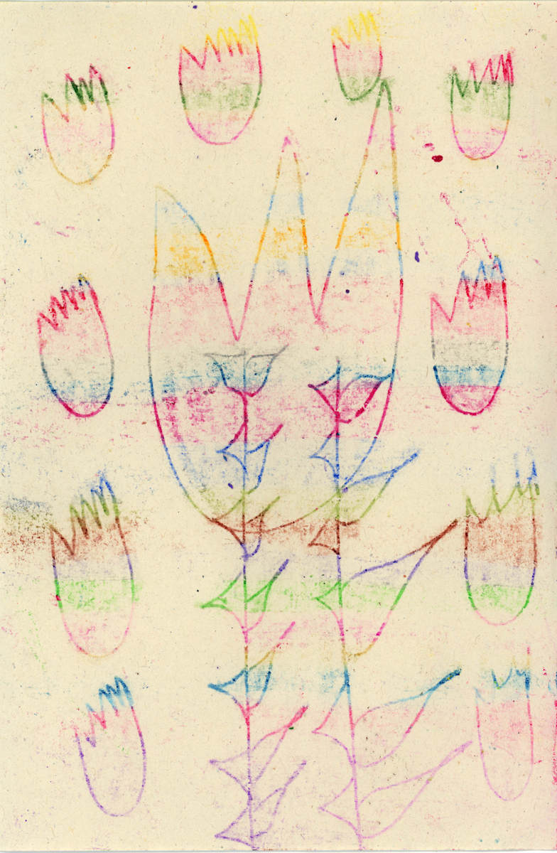 Untitled (Rainbow Tulip) by Erika Vega, Image 1.