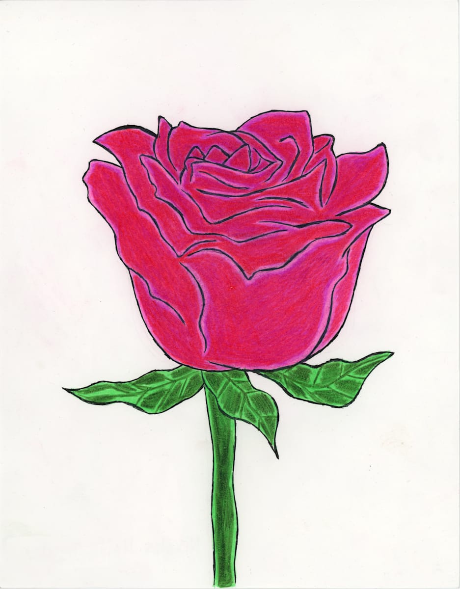 Untitled (rose) by Nikolas Heitz-Arruda 