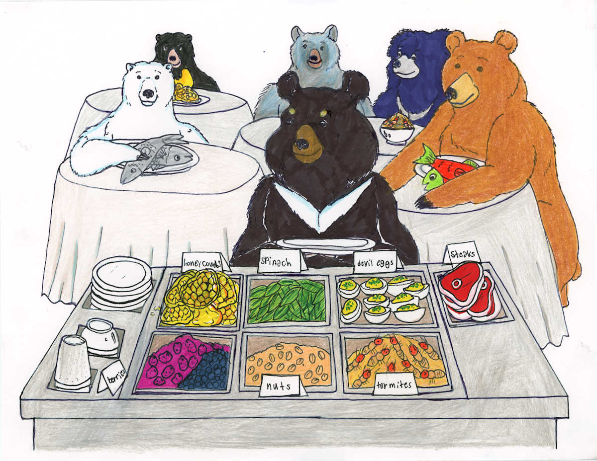 Family of Bears in the Buffet by Nikolas Heitz-Arruda 