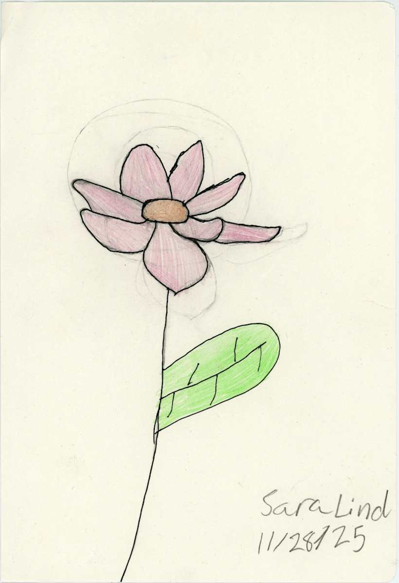 Untitled (pink flower) by Sara Lind 