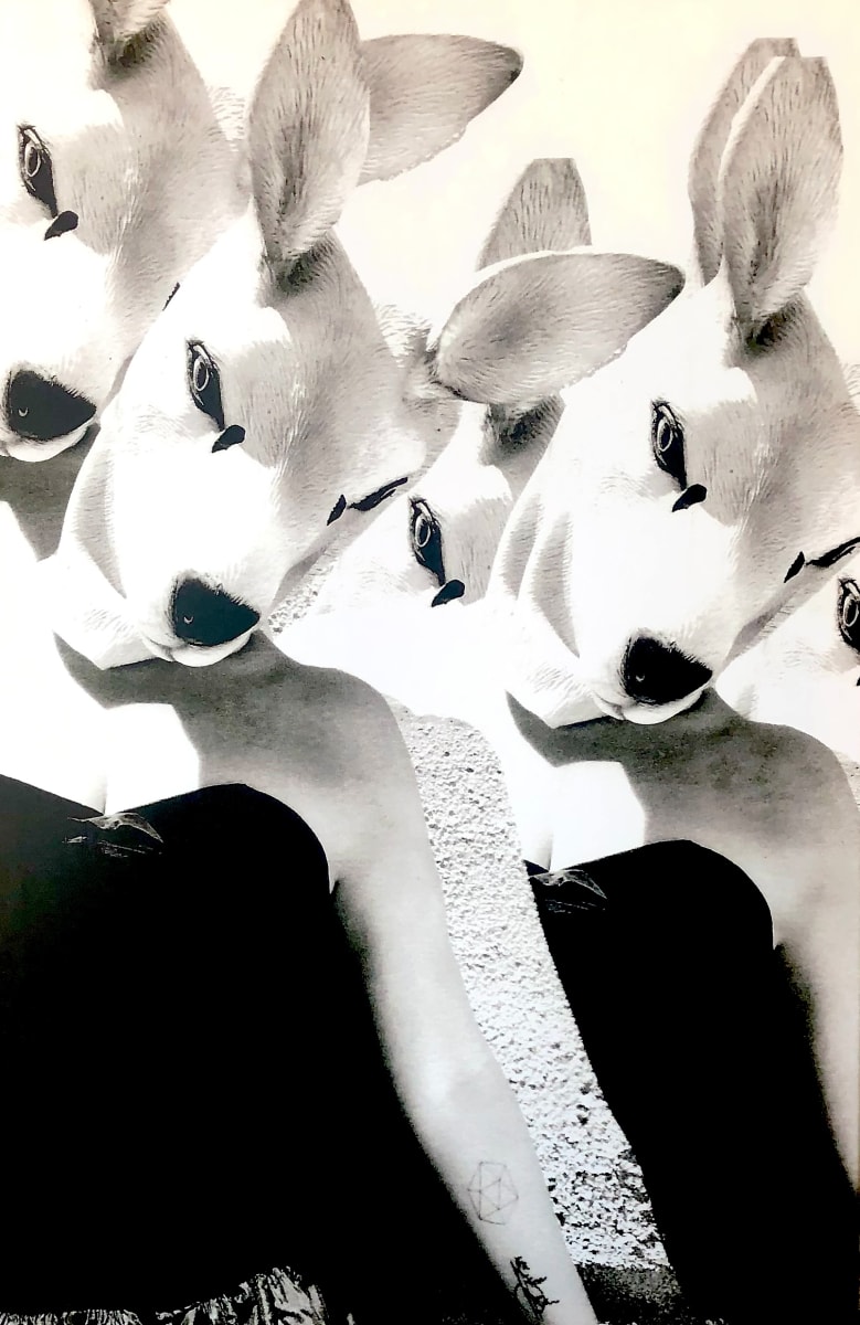 Beside Myself by Annie Wood  Image: self-portrait photography. with a kangaroo mask. 