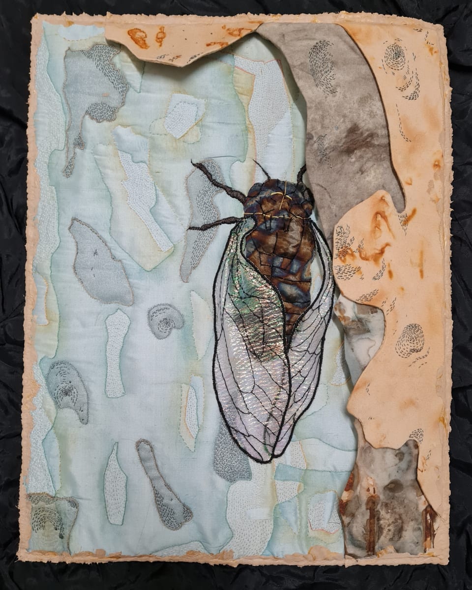Cicada #2 by Julie-Anne Rogers  Image: Cicada #2