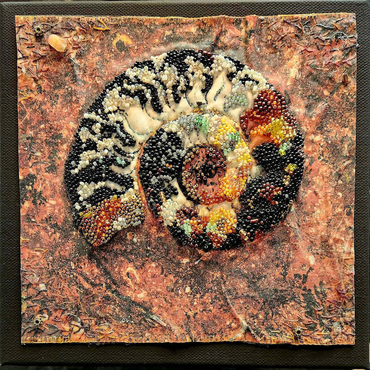 Fossilised by Julie-Anne Rogers  Image: Morocco has the most amazing fossils. Proof of what has gone before. I took a photo of this amazing ammonite up in the Atlas mountains and created my art.