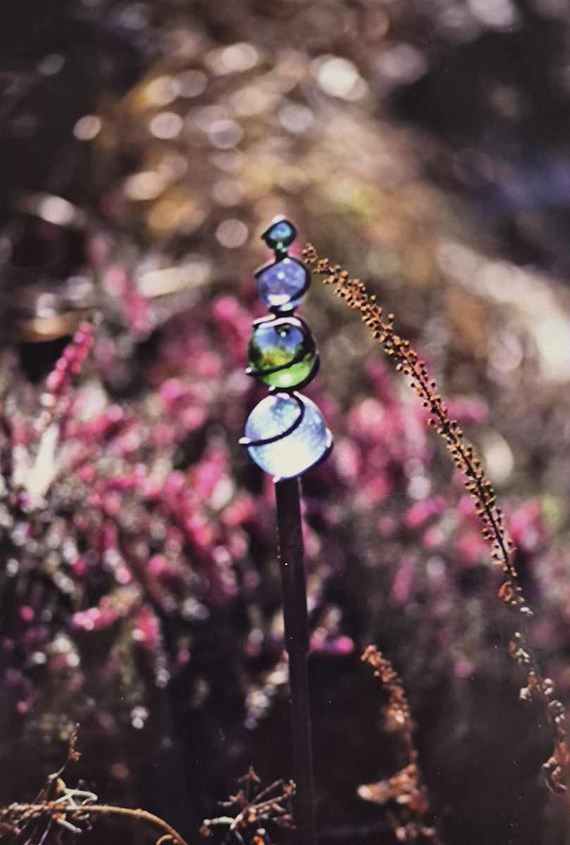 Garden Sparkle by J. Patrick Bowman  Image: 6"x4" Original Fine Art Photos matted to 10"x8" and ready to frame