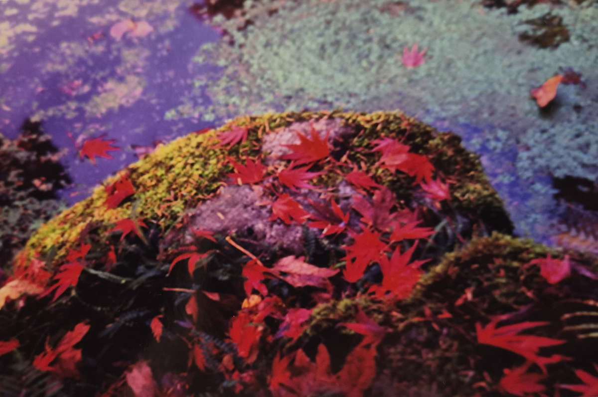 Fall on the Rock by J. Patrick Bowman, Image 1.