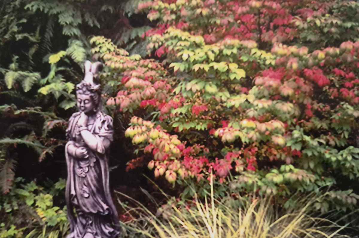 Japanese Garden 4 by J. Patrick Bowman, Image 1.