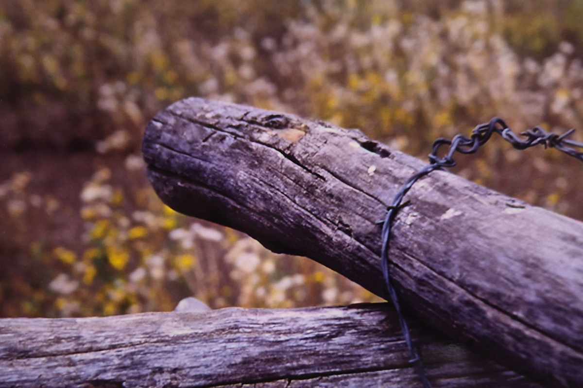Fenceline by J. Patrick Bowman, Image 1.