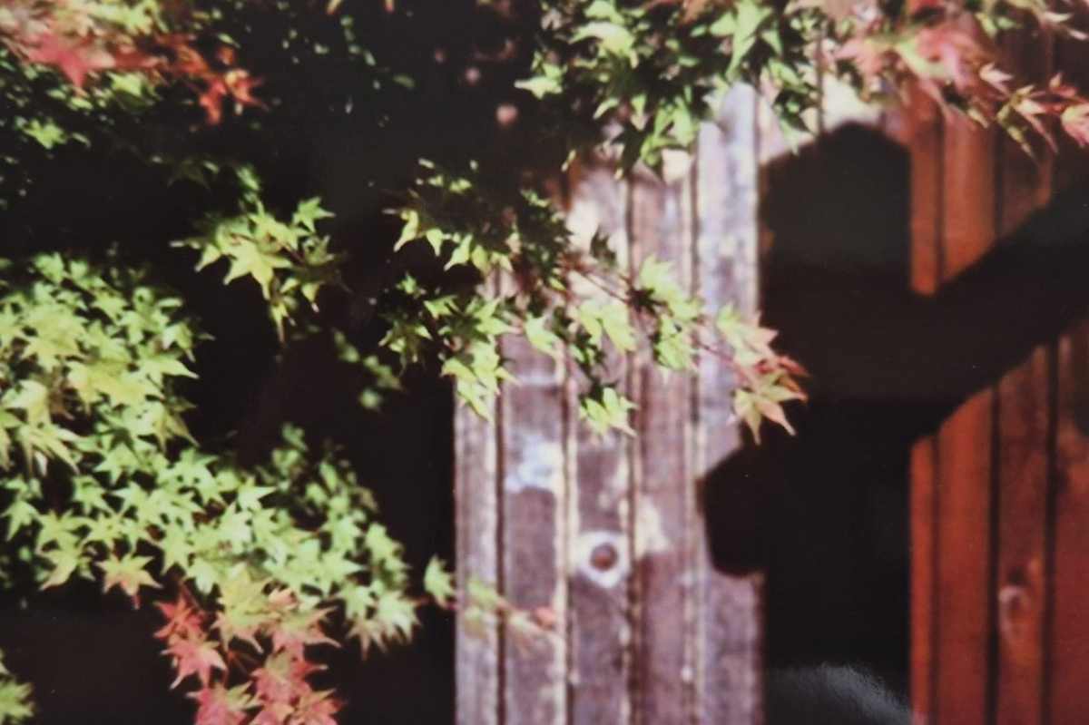 Japanese Garden 1 by J. Patrick Bowman  Image: 4"x6" Original Fine Art Photos matted to 8"x10" and ready to frame