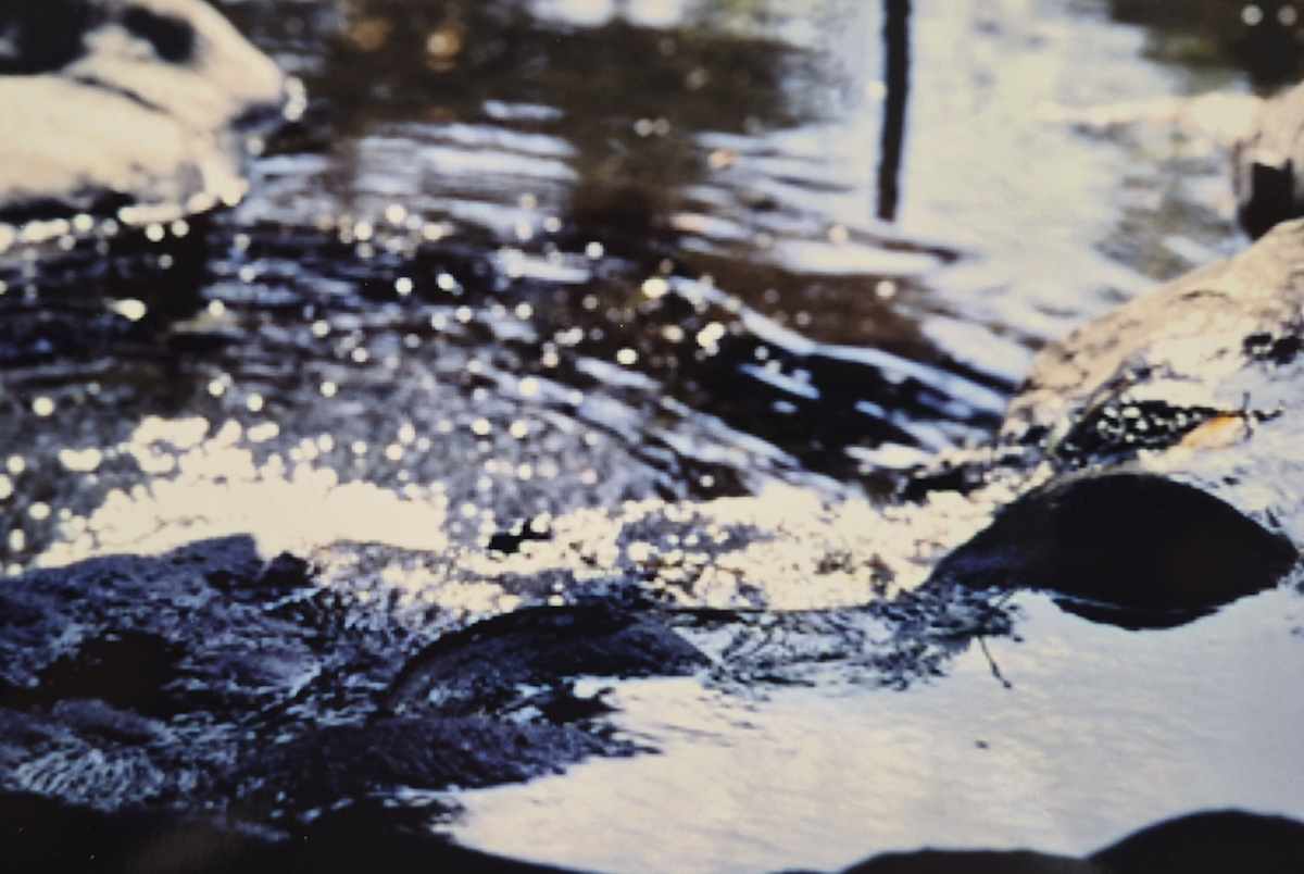 Water Works 3 by J. Patrick Bowman  Image: 4"x6" Original Fine Art Photos matted to 8"x10" and ready to frame