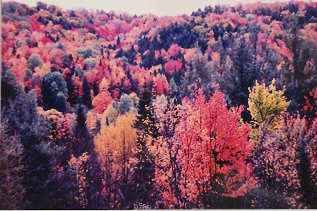 Vermont Fall 4 by J. Patrick Bowman  Image: 4"x6" Original Fine Art Photo matted to 8"x10" and ready to frame