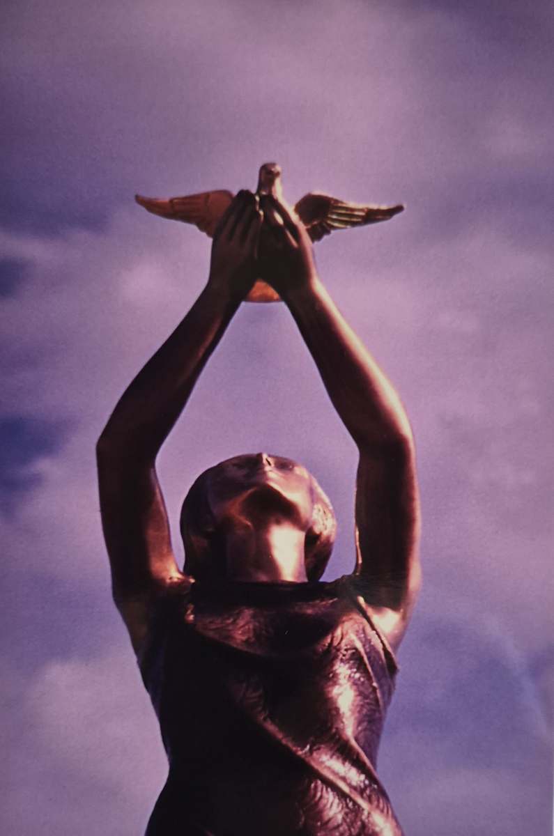 Take Flight 1 by J. Patrick Bowman  Image: 6"x4" Original Fine Art Photos matted to 10"x8" and ready to frame