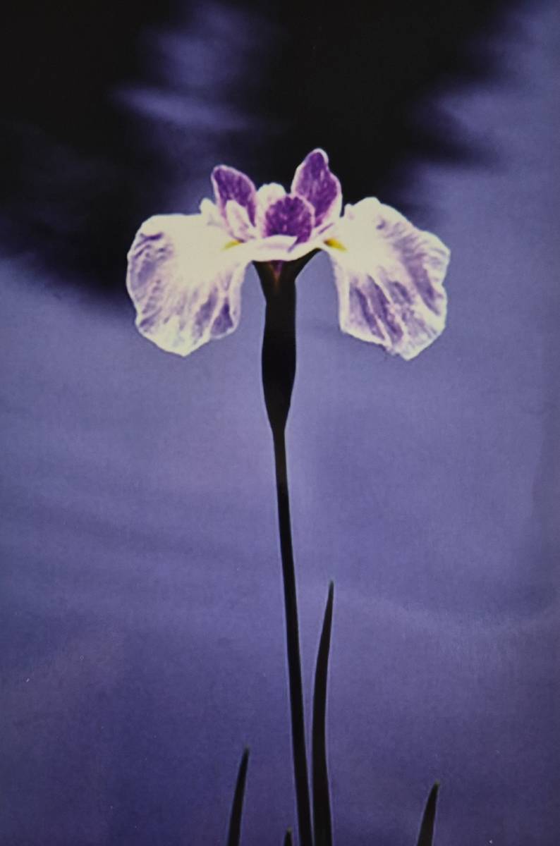 On the Edge 4 by J. Patrick Bowman  Image: 6"x4" Original Fine Art Photos matted to 10"x8" and ready to frame