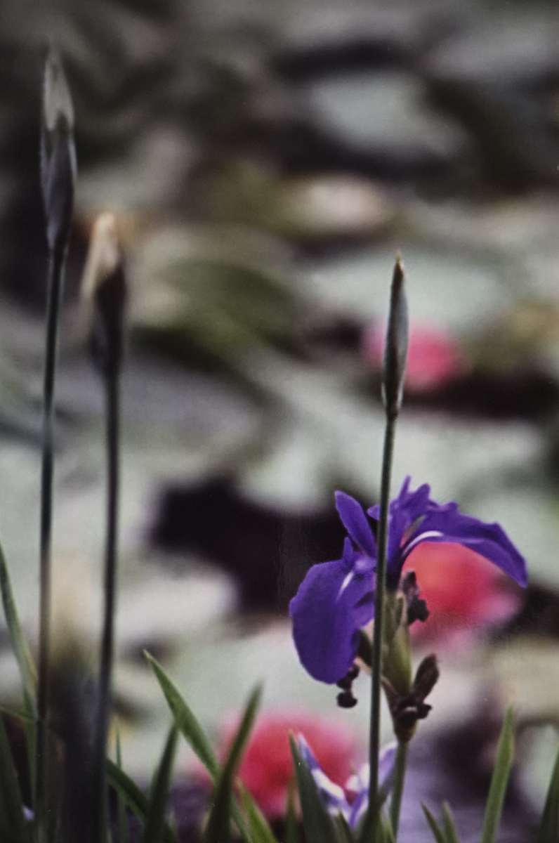 On the Edge 2 by J. Patrick Bowman  Image: 6"x4" Original Fine Art Photos matted to 10"x8" and ready to frame